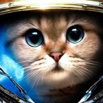 Profile picture of FlawlessPlan